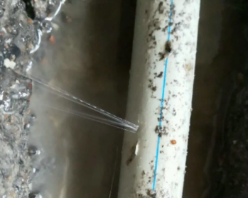 威信卫生间测漏水多少钱